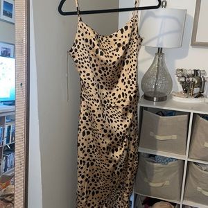 Chettah print dress